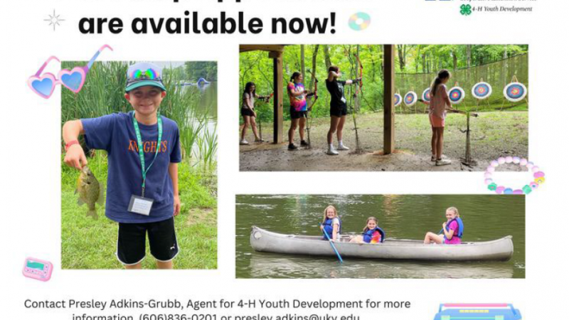 4-H Camp Applications are now Available